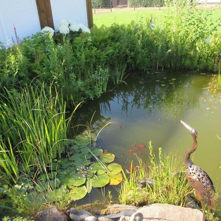 Ferienwohnung Rogge Stendal Bagian luar foto